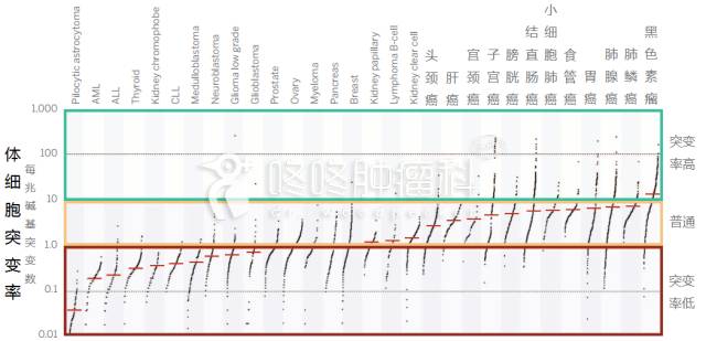 腫瘤新抗原免疫治療為腫瘤患者帶來福音