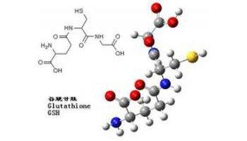 谷胱甘肽是什么？谷胱甘肽的好處和存在形式谷胱甘肽