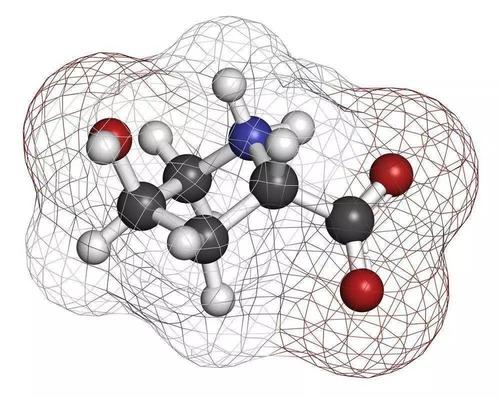 什么是小分子多膠原蛋白肽？小分子多肽膠原蛋白肽有什么作用？