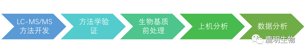 生物藥定性分析檢驗（蛋白質(zhì)、多肽）、臨床醫(yī)學(xué)前DMPK科學(xué)研究及微生物剖析、生物藥