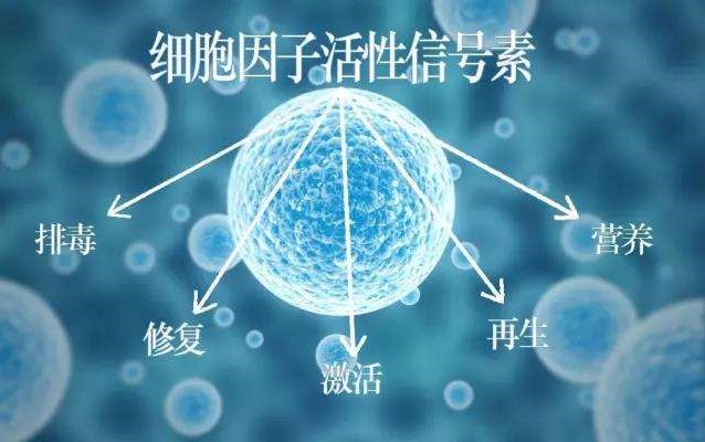 肽的分類有哪些？如何區(qū)分小分子小分子活性肽的好壞