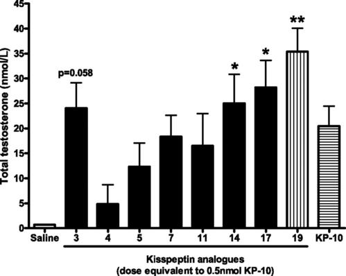 Kisspeptin-10在乳腺癌骨轉(zhuǎn)移和骨毀壞中的功效及機制研究