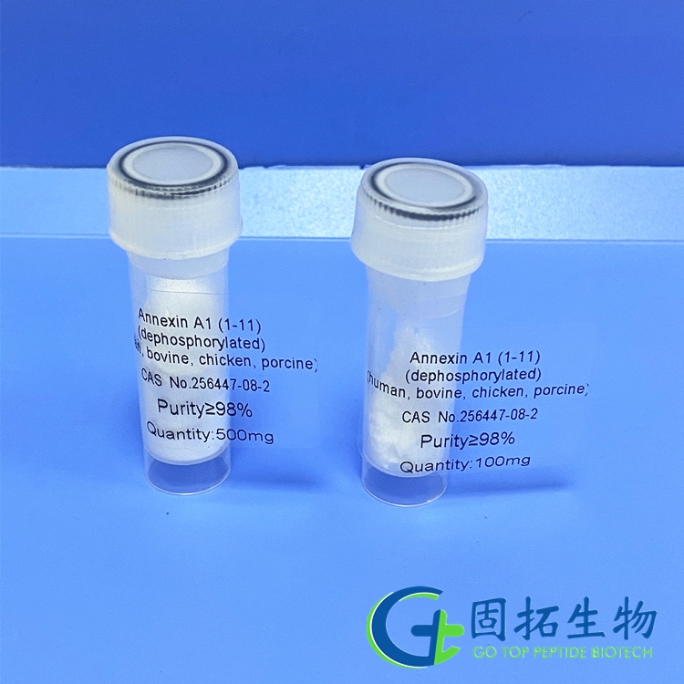 膜聯(lián)蛋白A1（1-11），Annexin A1 (1-11)，256447-08-2