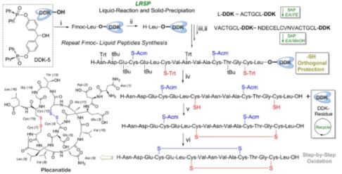 西北工業(yè)大學欽傳光教授的精英團隊在肽合成工業(yè)領(lǐng)域取得重要突破