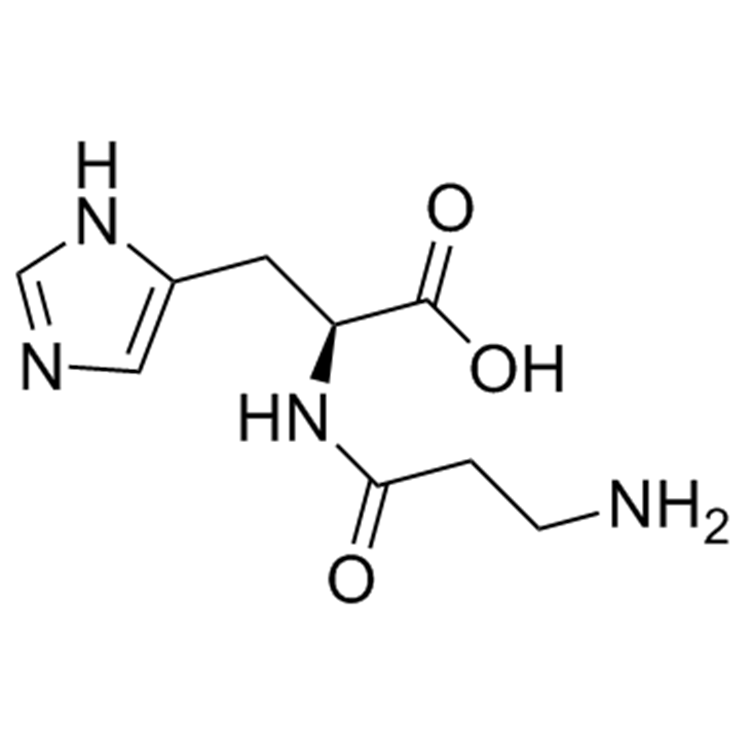 肌肽的作用與抗衰老的真相