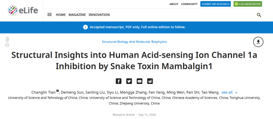 《elife》：非洲黑曼巴蛇毒多肽特異性識(shí)別并抑制疼痛以及相關(guān)人源酸敏感通道的結(jié)構(gòu)基礎(chǔ)