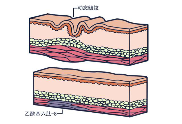 今天固拓生物以第一人稱談?wù)劽廊荻嚯募易宓膽?yīng)用