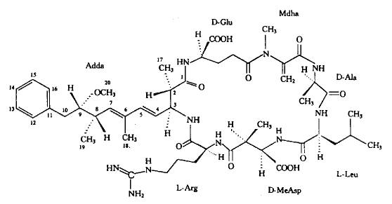 蜈蚣為什么傷人，原來(lái)是多肽分子搞的鬼