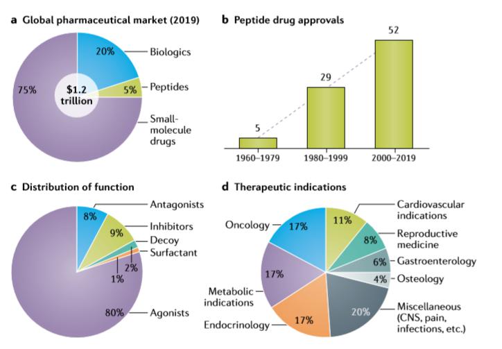 《自然》雜志：發(fā)現(xiàn)多肽藥物有什么趨勢？