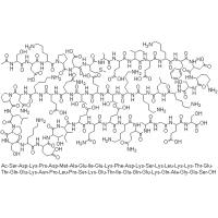 腺肽β4的生物學功效與運用未來發(fā)展趨勢