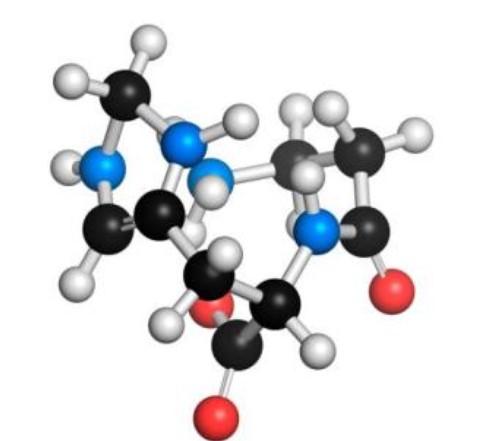 L-肌肽對皮膚的作用與功效，你知道多少？