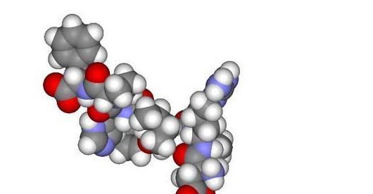 有關(guān)多肽肌膚護(hù)理，你需要了解的一切！