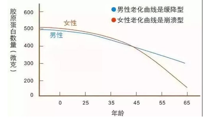 膠原蛋白是啥?？為什么說它很重要？本文給大家答案