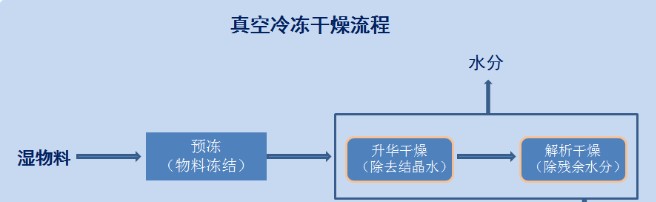 凍干粉走紅，凍干技術(shù)有目共睹