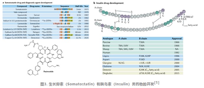 肽類藥的研發(fā)進(jìn)度,你知道嗎？