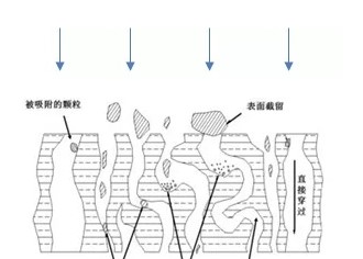 如何提高抗體純化高效率？?今日聊一聊離心、過(guò)濾