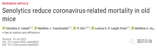 在臨床前動物中，抗衰老藥物可降低冠狀病毒相關(guān)的死亡率