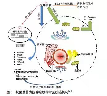 抗菌肽也可運用于抗腫瘤醫(yī)治了！?是真的嗎？