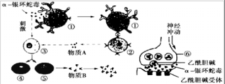 可以轉(zhuǎn)化為動(dòng)物毒素多肽藥物的幾種常見毒物（1）