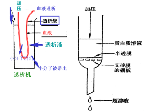 簡述蛋白質(zhì)、多肽液相色譜純化方法及準(zhǔn)備工作