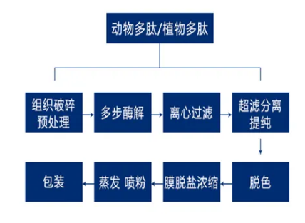 膜法分離提純多肽藥物是不可或缺的技術(shù)