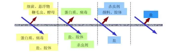 多肽的純化使用膜分離技術(shù)有哪些優(yōu)勢(shì)