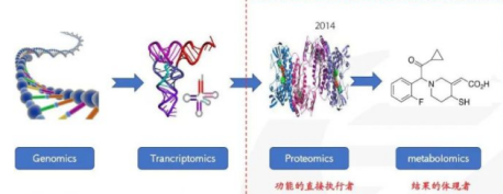 什么是生物標(biāo)志物？如何對(duì)多肽進(jìn)行生物標(biāo)志物鑒定？