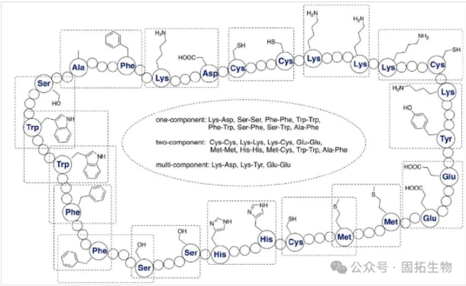 多肽藥物環(huán)化的八種優(yōu)勢